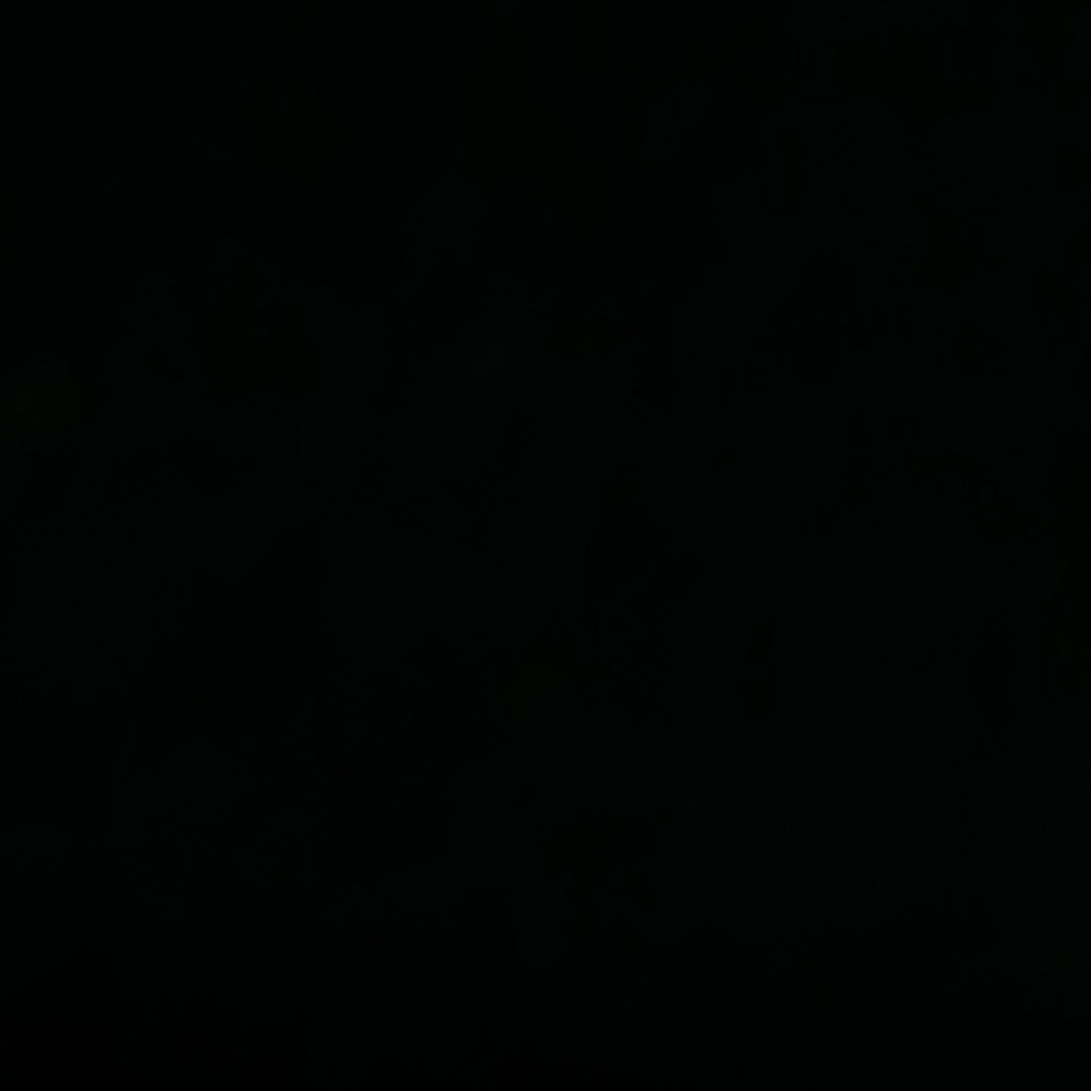 Black Item